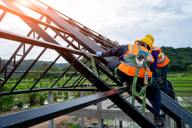 Best Gutter Installation and Roofing  in Forney, TX