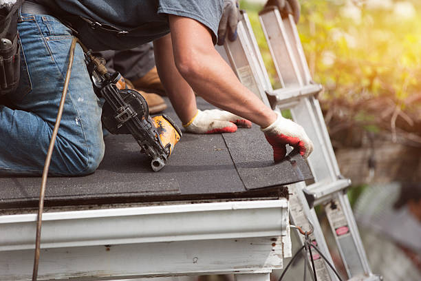 Best Gutter Installation and Roofing  in Forney, TX